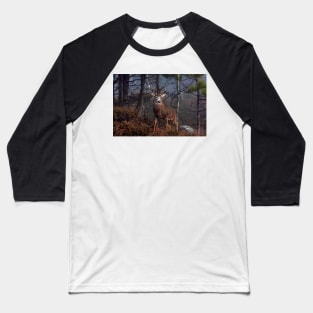 Buck on ridge - White-tailed Deer Baseball T-Shirt